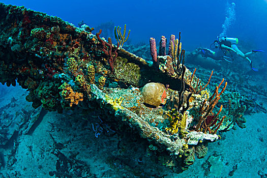 潜水,残骸,蒸汽,帆船,飓风,1867年,海岸,盐,岛屿,靠近,托托拉岛,英属维京群岛,加勒比