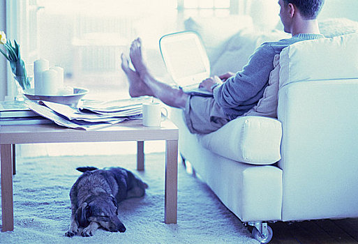 男人,坐,沙发,使用笔记本,狗,睡觉,桌子