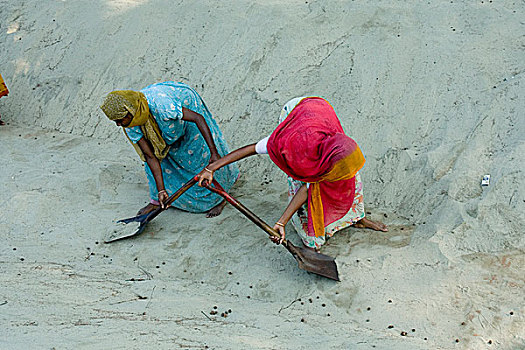 女性,工人,难民,沙子,道路,树,海洋,海滩,四月,2007年,市场,孟加拉,美元,白天,工作,黎明