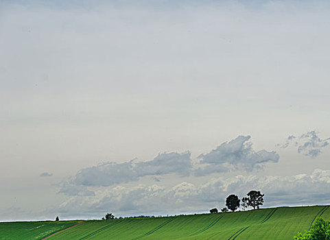 日本北海道美瑛