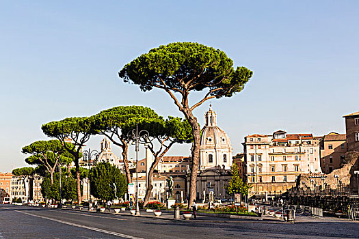 松树,罗马,意大利,正面,圆顶,圣马利亚,洛雷托,玛丽亚