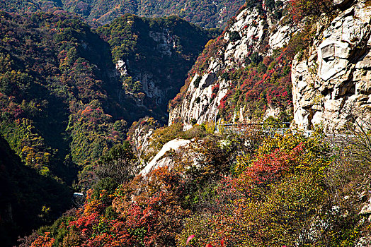 盘山公路