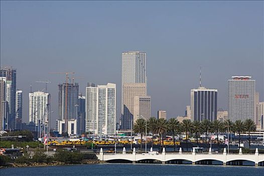 建筑,城市,迈阿密,佛罗里达,美国