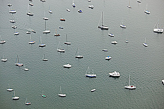 船,水,纽波特,罗德岛,美国