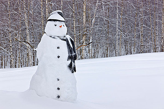 雪人,戴着,围巾,黑色上衣,帽子,站立,积雪,桦树,树林,俄罗斯,公园,阿拉斯加,冬天