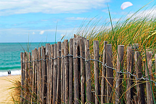老,木篱,海滩,布列塔尼半岛,法国