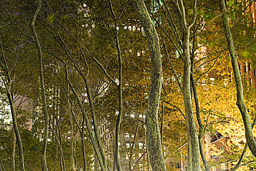 布莱恩公园,夜晚,纽约