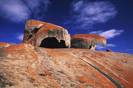 石头,袋鼠,岛屿,澳洲南部