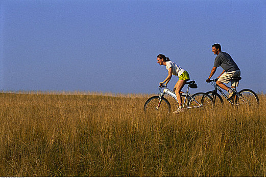 伴侣,自行车,高草,贝尔格莱德湖区,缅因,美国
