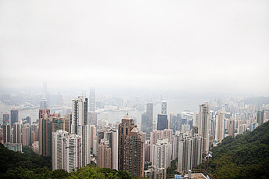 香港,香港岛,摩天大楼,市中心