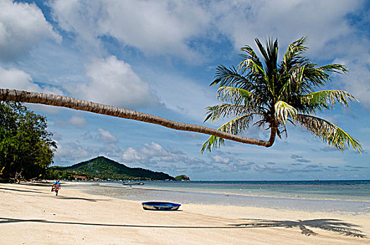 船,棕榈树,沙滩,蓝绿色海水,岛屿,龟岛,泰国,亚洲