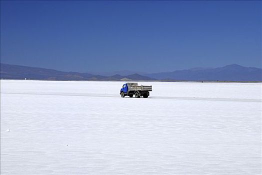 蓝色,卡车,驾驶,盐,开采,盐磐,省,胡胡伊,安第斯山,阿根廷,南美