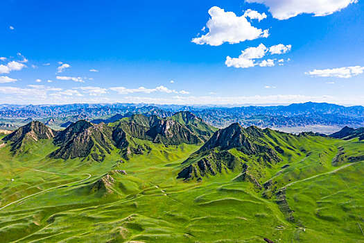 青海海西,都兰花海,都兰海寺花海,风光航拍,风光摄影,风景摄影