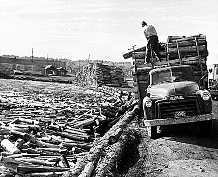 男人,卸载,原木,卡车,港口,安大略省,加拿大