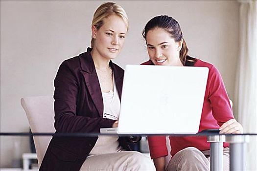 两个女人,使用笔记本,电脑