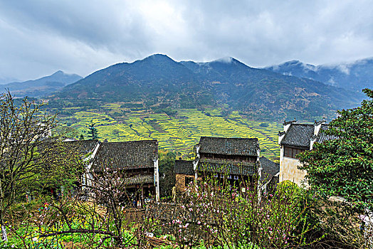 婺源篁岭古村春色