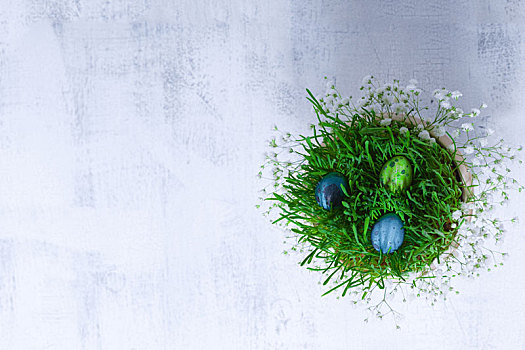 蛋,花,白色背景,复活节,象征