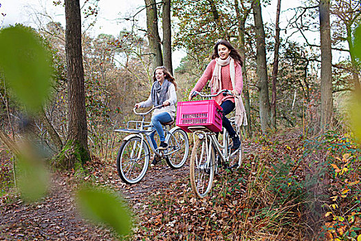 少女,树林,骑自行车,自行车,粉色,板条箱,联结