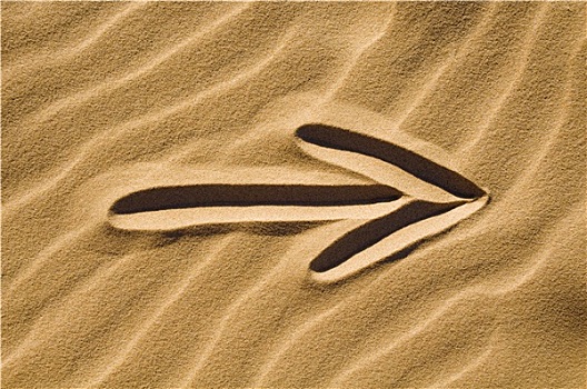 箭头,沙子