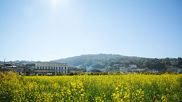 云南,腾冲,和顺,古镇,油菜花田