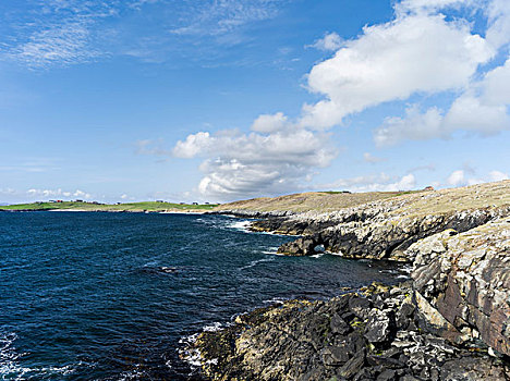 海边风景,西部,小岛,设得兰群岛,群岛,苏格兰,英国,大幅,尺寸