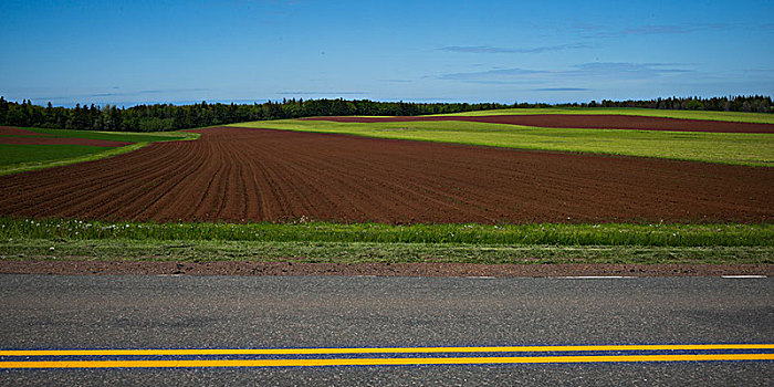 道路,耕地,爱德华王子岛,加拿大