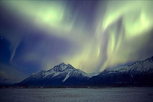 北极光,顶峰,楚加,冬天,阿拉斯加,绿色