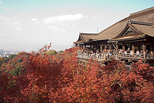 日本,京都,清水寺,季节