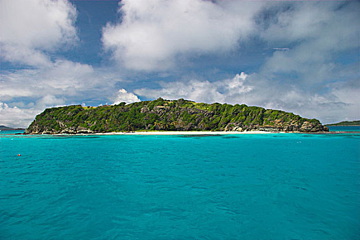 多巴哥岛,小,珊瑚,岛屿,格林纳丁斯群岛,南方,加勒比海