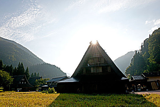 稻田,五箇山,房子,乡村