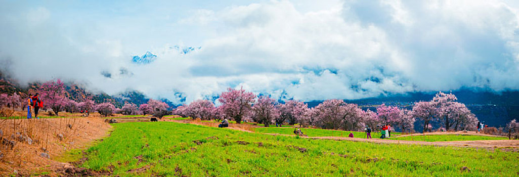 林芝,景色