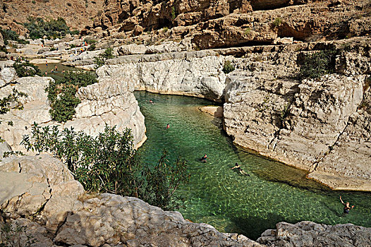 阿曼苏丹国,旱谷,旅游,游泳,青绿色,蓝色,水,峡谷,石灰石,悬崖