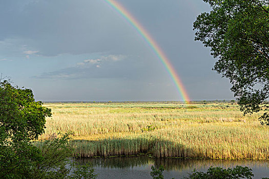 彩虹,上方,洪水,朴素,宽渡河,纳米比亚