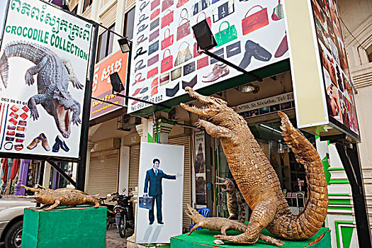 柬埔寨,收获,鳄鱼,皮革,店,广告