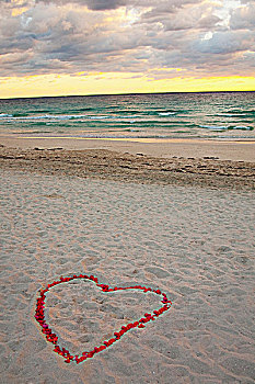 心形,玫瑰花瓣,海滩,迈阿密海滩,佛罗里达,美国