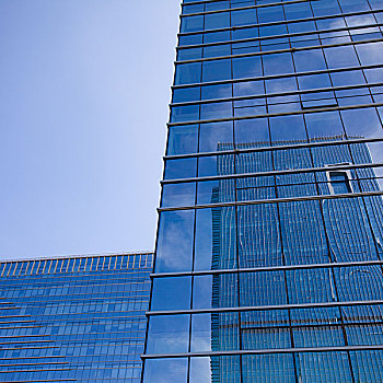 现代,玻璃,剪影,摩天大楼