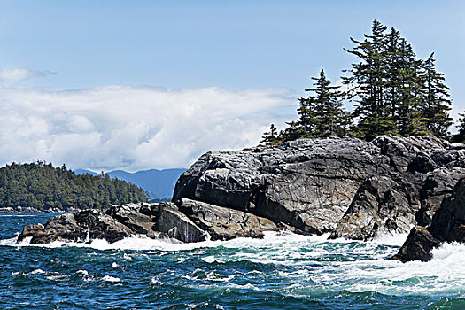 岛屿,环太平洋国家公园,温哥华岛,不列颠哥伦比亚省,加拿大