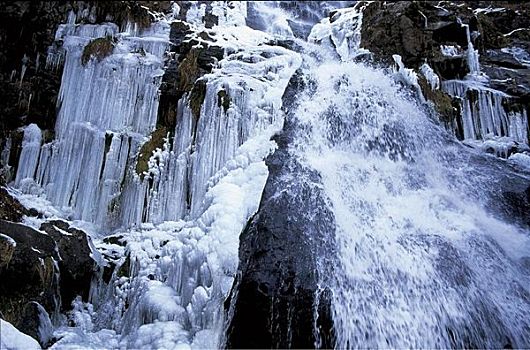 瀑布,冬天,冰,向上,黑森林地区,巴登符腾堡,德国,欧洲