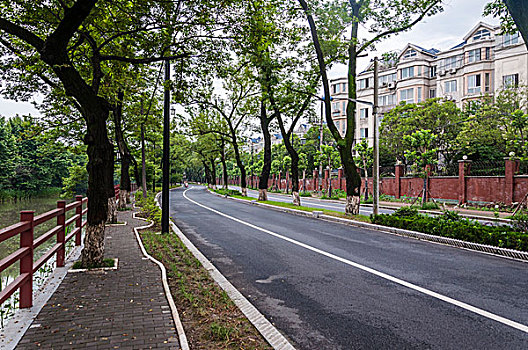 林荫道路