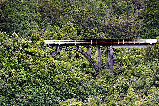 铁路桥,丛林,查尔斯顿,西海岸,区域,新西兰,大洋洲