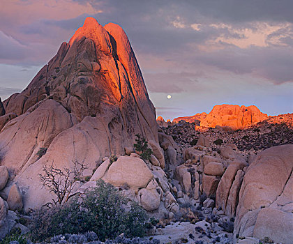 月亮,上方,石头,约书亚树国家公园,加利福尼亚