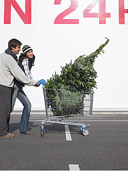 伴侣,买圣诞树