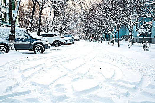 大雪里的汽车