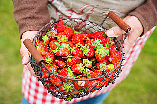 篮子,草莓