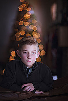 男孩,倚靠,上方,沙发,圣诞树,背景