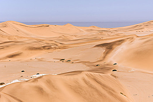 沙丘,沙漠,背影,大西洋,纳米比诺克陆夫国家公园,纳米比亚,非洲