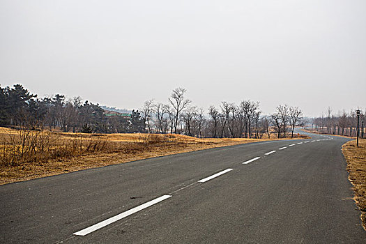 林间公路,森林公园