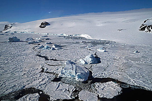 海冰,威德尔海,南极半岛,南极