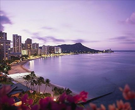 夏威夷,瓦胡岛,钻石海岬,黎明,叶子花属,前景