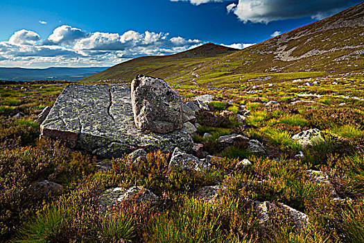 峭壁,凯恩戈姆国家公园,苏格兰高地,苏格兰